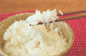 [無洗米]ハツシモ(岐阜)のブランド米 一度はお試し頂きたい味と食感。