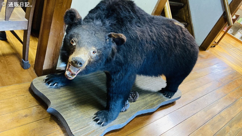 七沢温泉 中屋旅館 熊のはく製