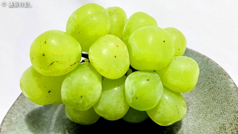 超大粒ブドウ品種 その名はUFO（雄宝）シャインマスカットを親にもつ新品種！