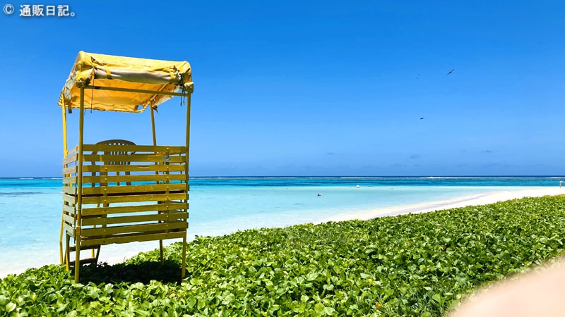 [サイパン旅行記 2/2] オプショナルツアーでマニャガハ島に行こう！絶対に行くべき嘘みたいに綺麗なビーチ！