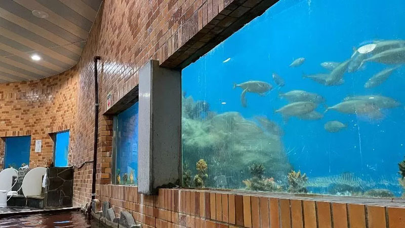 平戸海上ホテル 水族館大浴場（水族館風呂）
