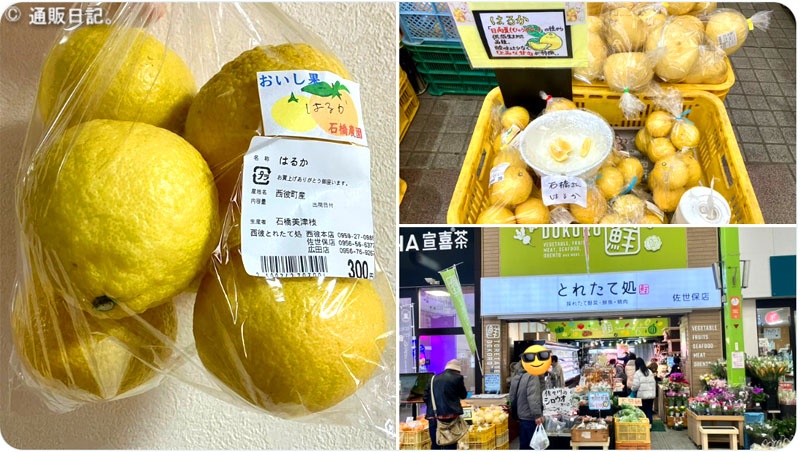 西彼とれたて処 佐世保店 はるか