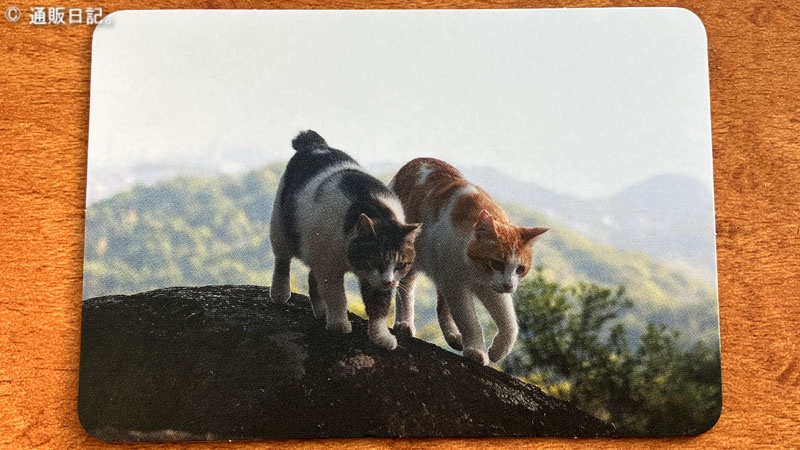 猫節 尾道のねこカード